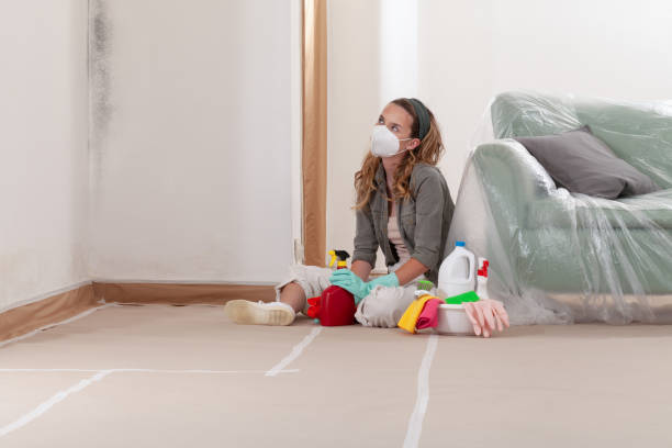 Reliable Basement Mold Remediation contractor in West Orange, NJ by WQB Mold Removal